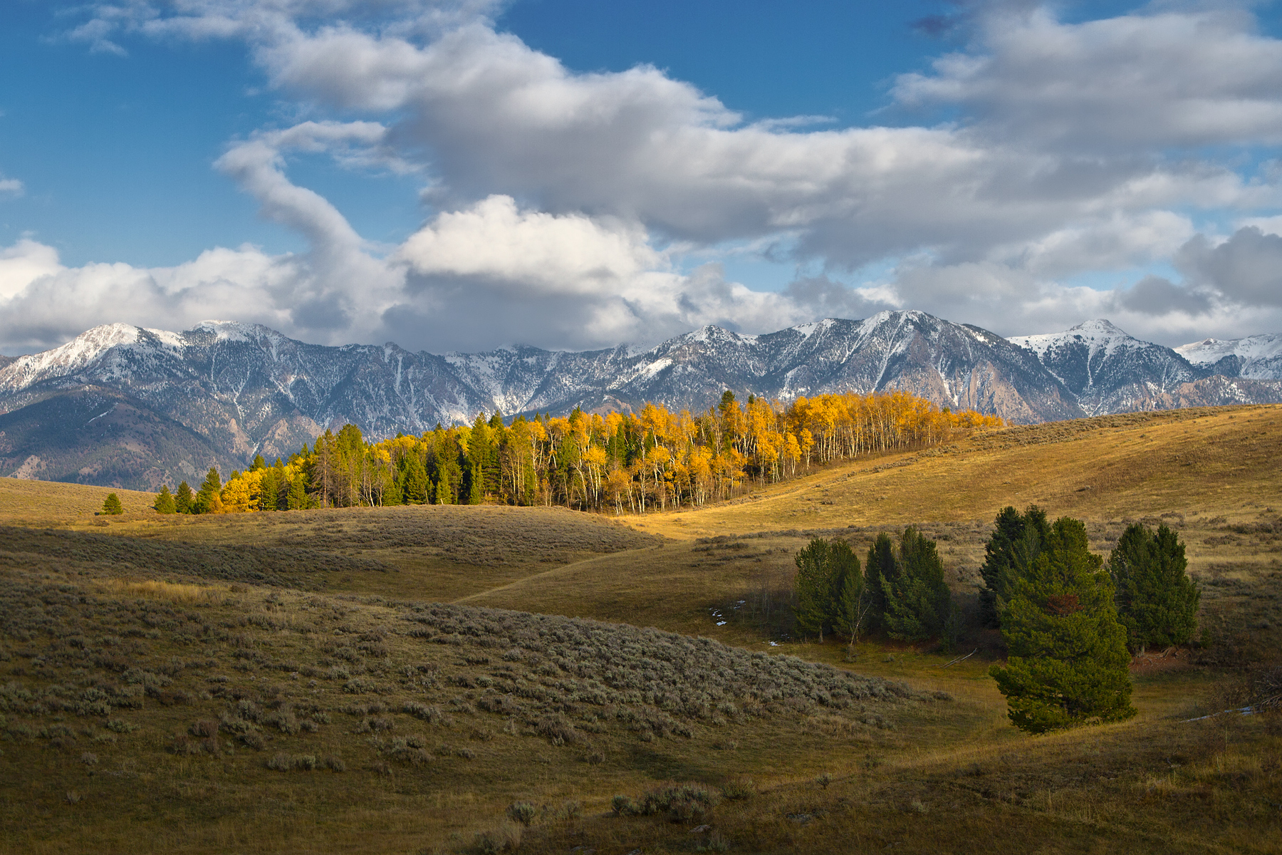 Big Sky